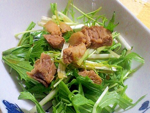 豚かたまり肉＆水菜のサラダ